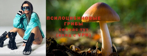 бошки Абдулино