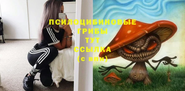 бошки Абдулино