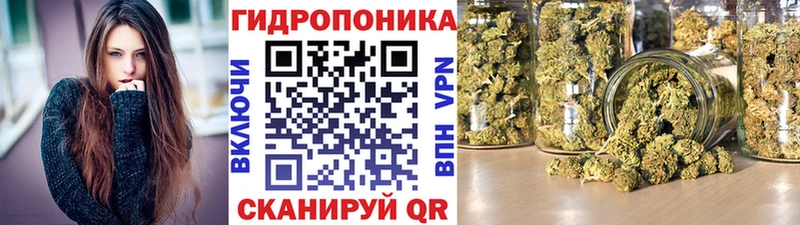 Шишки марихуана THC 21%  Фокино 